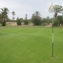 фото из отзыва ID 1386439