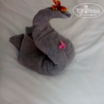 фото из отзыва ID 1386439