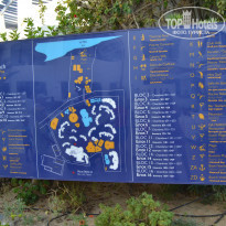 фото из отзыва ID 1386518