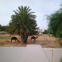 фото из отзыва ID 1386519