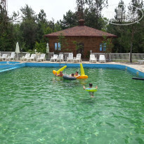 фото из отзыва ID 1386584