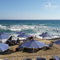 фото из отзыва ID 1386594