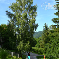 фото из отзыва ID 1386701