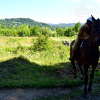 фото из отзыва ID 1386701