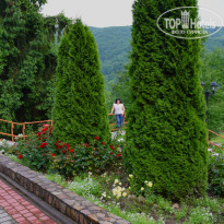 фото из отзыва ID 1386701