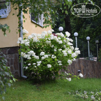 фото из отзыва ID 1386701