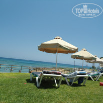 фото из отзыва ID 1384825