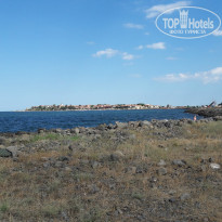 фото из отзыва ID 1386904