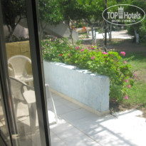 фото из отзыва ID 1387000