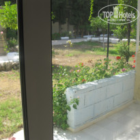 фото из отзыва ID 1387000