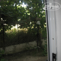 фото из отзыва ID 1387000