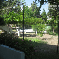 фото из отзыва ID 1387000