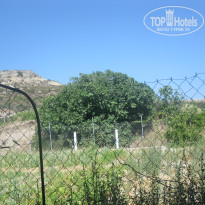 фото из отзыва ID 1387000