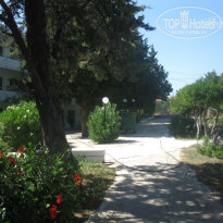 фото из отзыва ID 1387000