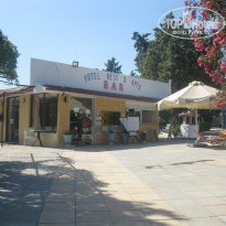 фото из отзыва ID 1387000