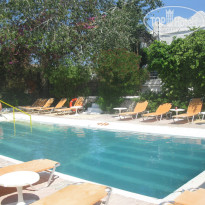 фото из отзыва ID 1387000