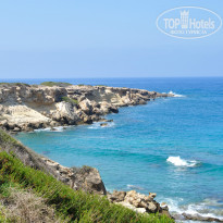 фото из отзыва ID 1385420