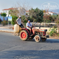 фото из отзыва ID 1385420