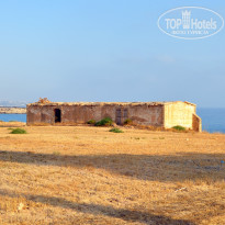 фото из отзыва ID 1385420