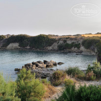 фото из отзыва ID 1385420