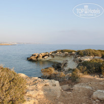 фото из отзыва ID 1385420