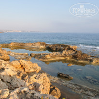 фото из отзыва ID 1385420