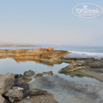 фото из отзыва ID 1385420