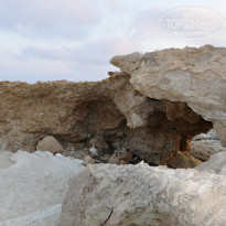 фото из отзыва ID 1385420