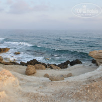 фото из отзыва ID 1385420