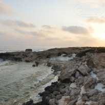 фото из отзыва ID 1385420