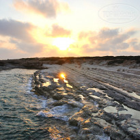 фото из отзыва ID 1385420