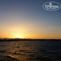 фото из отзыва ID 1387075