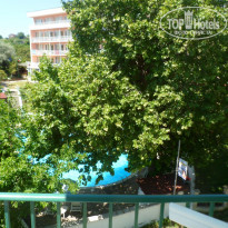 фото из отзыва ID 1387096