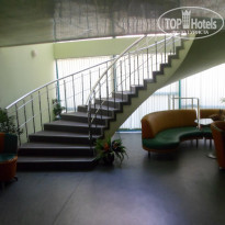 фото из отзыва ID 1387096