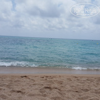 фото из отзыва ID 1387293