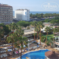 фото из отзыва ID 1387293