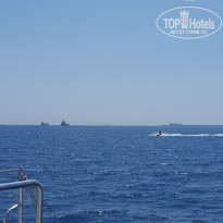 фото из отзыва ID 1387293