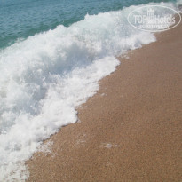 фото из отзыва ID 1387293