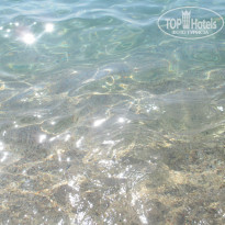 фото из отзыва ID 1387293