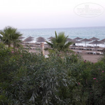 фото из отзыва ID 1387374