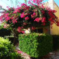 фото из отзыва ID 1387452