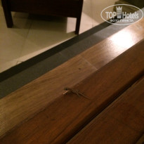 фото из отзыва ID 1387465