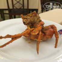 фото из отзыва ID 1387465