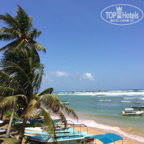 фото из отзыва ID 1387465