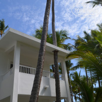 фото из отзыва ID 1387518