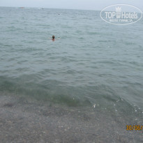 фото из отзыва ID 1387545