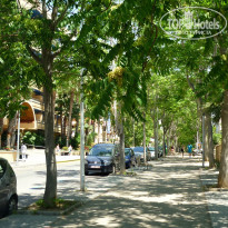 фото из отзыва ID 1387095