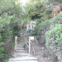 фото из отзыва ID 1387673