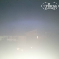 фото из отзыва ID 1387571