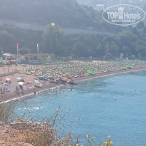 фото из отзыва ID 1387571